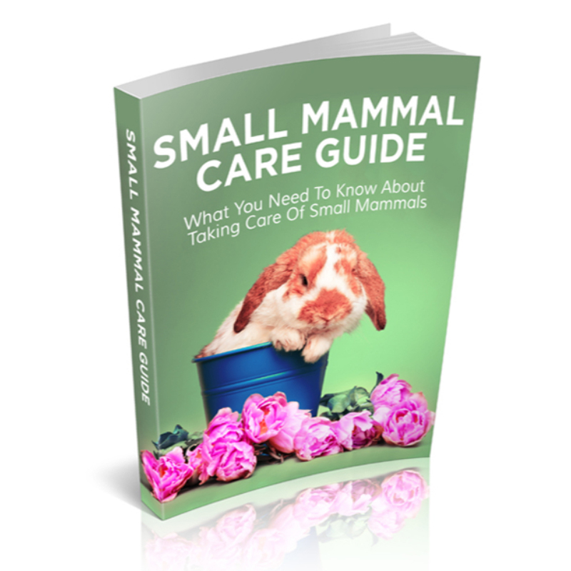 Small Mammal Care Guide – PLRLIME